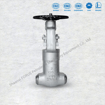Mặt bích kết thúc Van cổng thép đúc ASME B16.5 Kích thước 2 "đến 36" API 6D