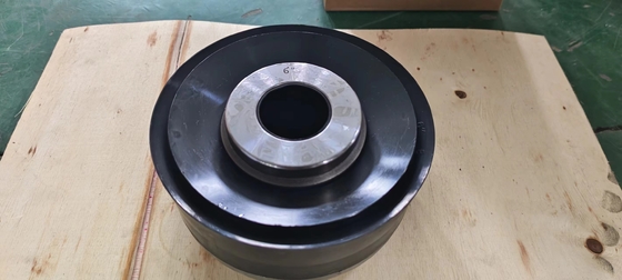 6 inch bùn máy bơm piston Assembly cho WH1612 bùn máy bơm bộ phận